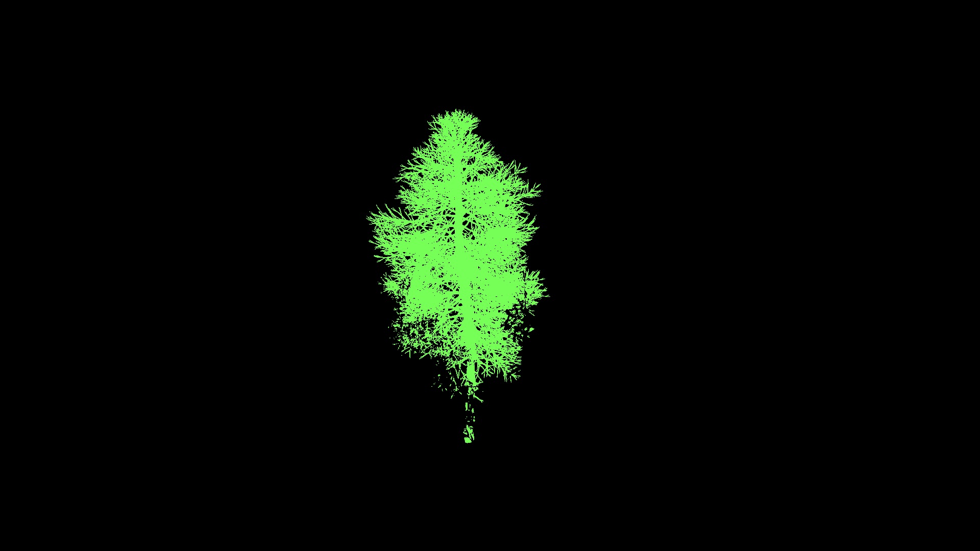Vegetation Image
