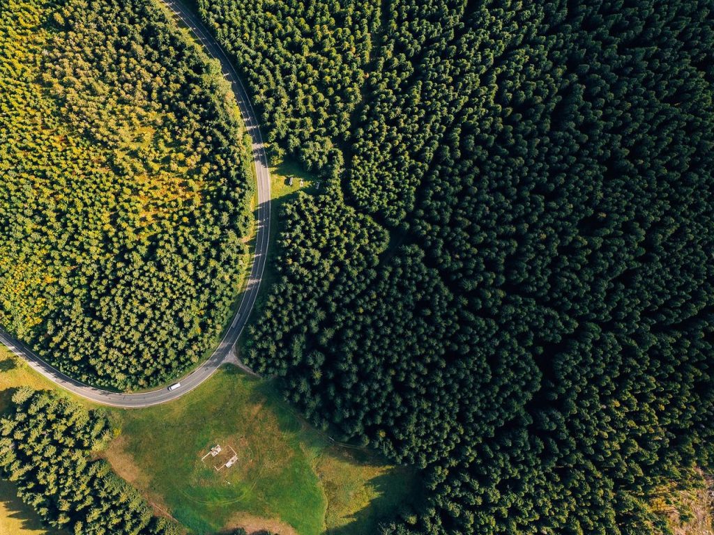 Vegetation Management
